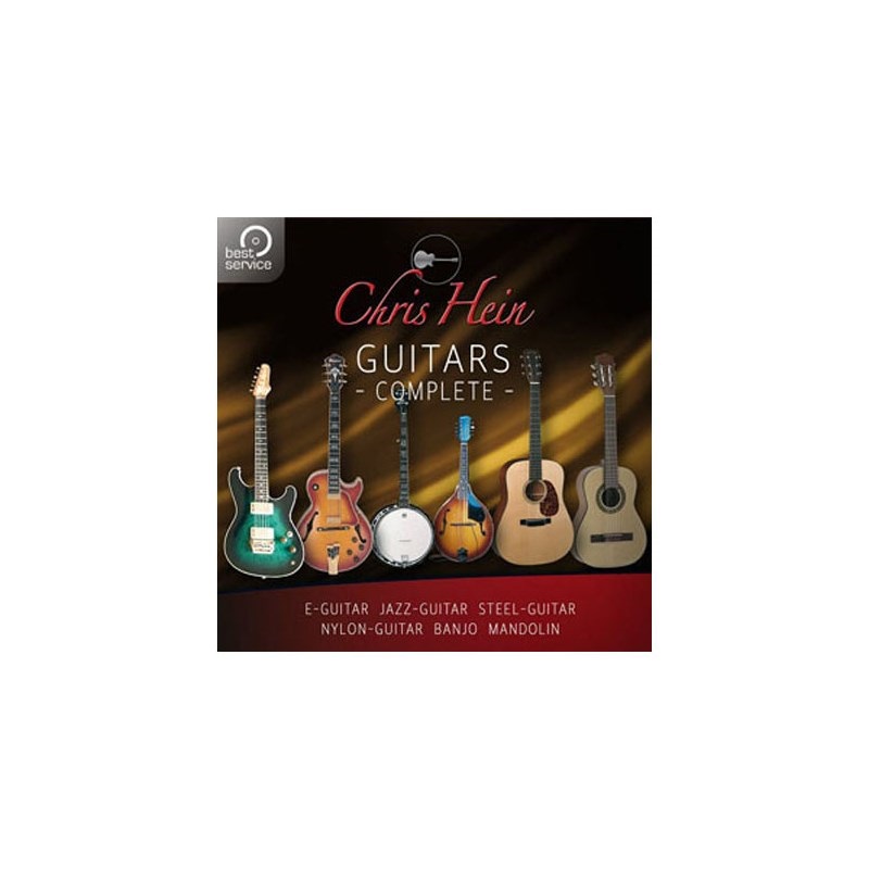 BestService CHRIS HEIN GUITARS (オンライン納品)(2時間以内に納品)
