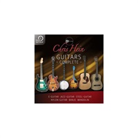 CHRIS HEIN GUITARS (オンライン納品)(2時間以内に納品)