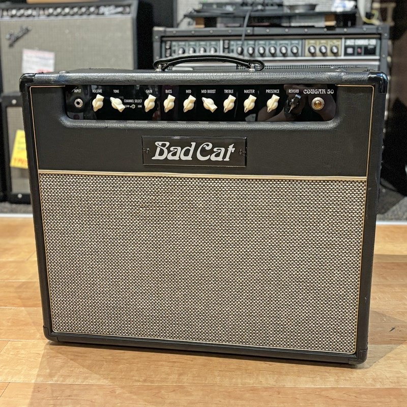 unknown 【USED】Cougar 50 ｜イケベ楽器店オンラインストア