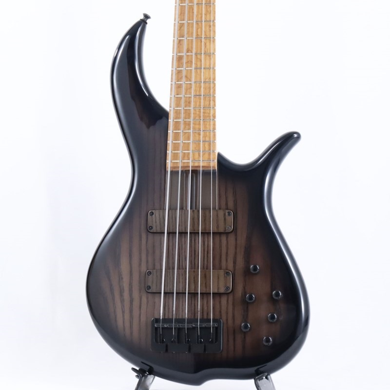F-bass BN5-CB (Pale Charcoal Burst Gloss / Black Grain) ｜イケベ  