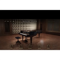 Noire (ネイティブインストルメンツ)(ノイアー)(オンライン納品)(2時間以内に納品)