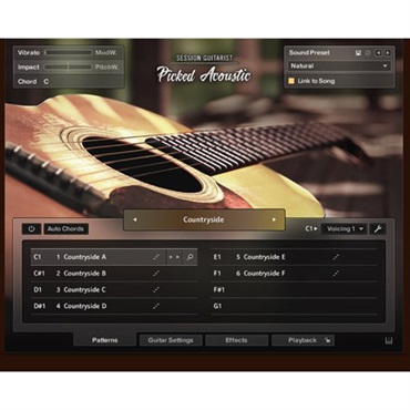 Session Guitarist - Picked Acoustic (ネイティブインストルメンツ)(セッションギタリスト)(オンライン納品)(2時間以内に納品)