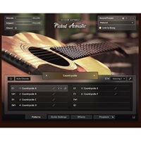 Session Guitarist - Picked Acoustic (ネイティブインストルメンツ)(セッションギタリスト)(オンライン納品)(2時間以内に納品)