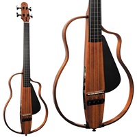 NBSG Bass Fretless
