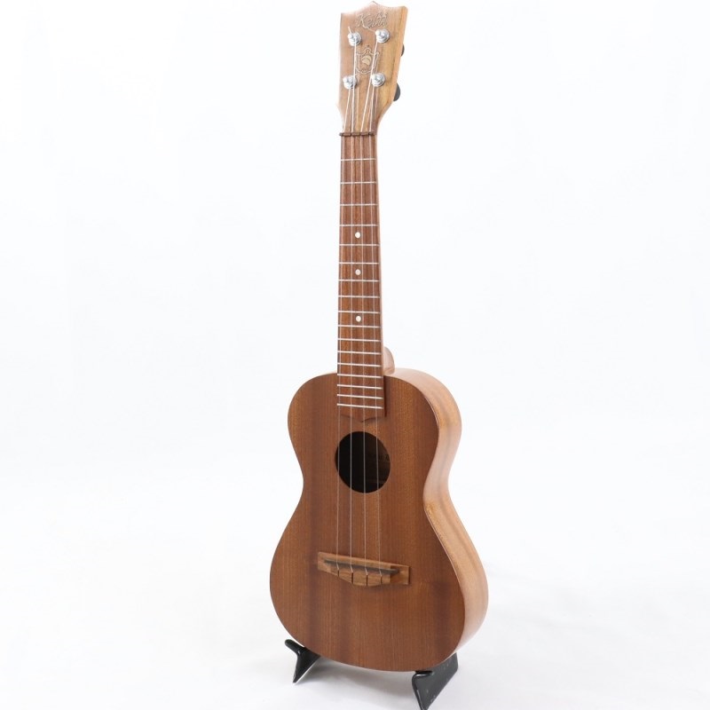 ASTURIAS D.CUSTOM with L.R.Baggs DUAL SOURCE ／ L.R.Baggs DUAL  