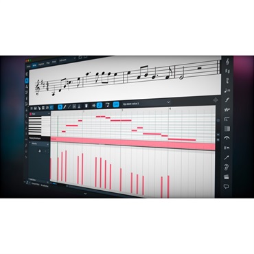 Steinberg Dorico Pro (スタインバーグ)(ドリコ)(譜面作成ソフト)(代引不可)(オンライン納品)