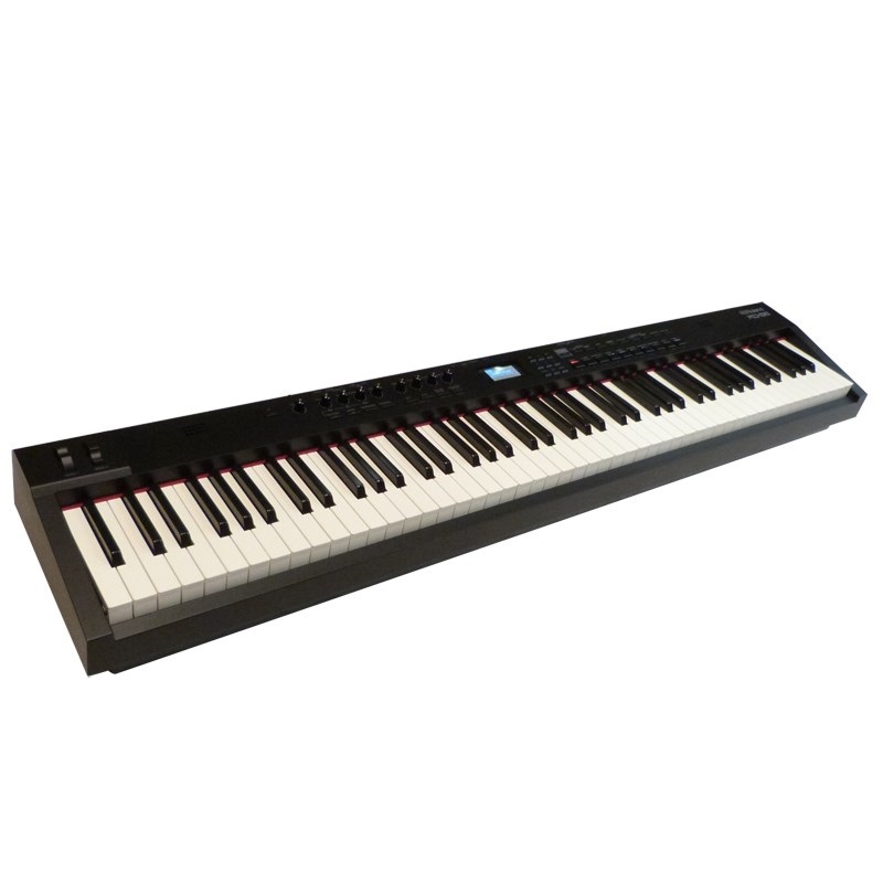 Roland EP-09 ケース付属 美品 その他