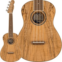 【数量限定特価】【新楽器応援セール】 ZUMA EXOTIC CONCERT UKULELE (Spalted Maple) フェンダー
