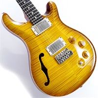DGT Semi-Hollow Limited Edition (McCarty Sunburst) SN.0390963