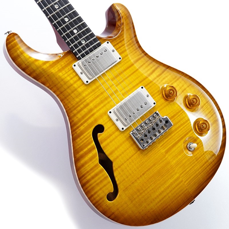 P.R.S. DGT Semi-Hollow Limited Edition (McCarty Sunburst) SN