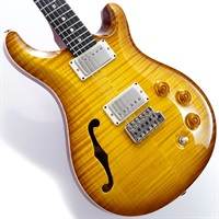 DGT Semi-Hollow Limited Edition (McCarty Sunburst) SN.0391097