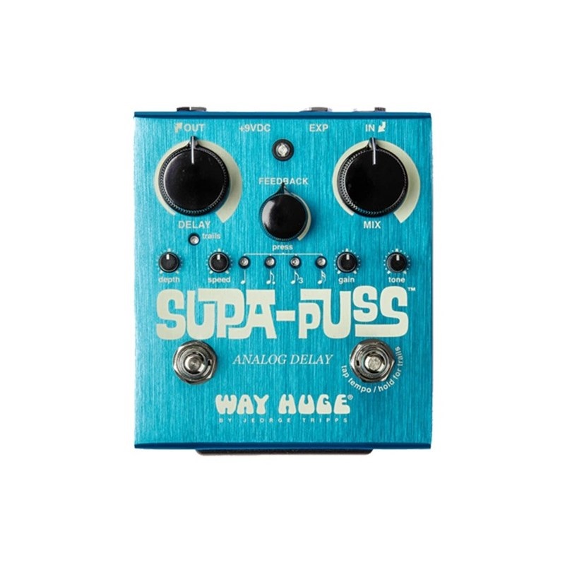 Way Huge Electronics Aqua-Puss MkII Analog Delay