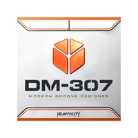 DM-307(代引不可)(オンライン納品)