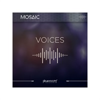 MOSAIC VOICES(代引不可)(オンライン納品)