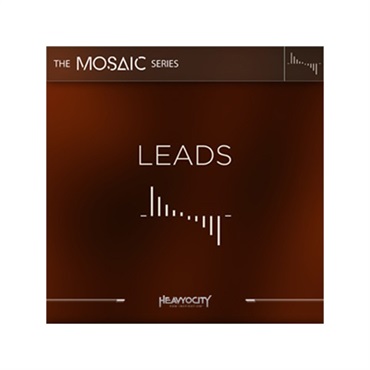 HEAVYOCITY MOSAIC LEADS(代引不可)(オンライン納品)