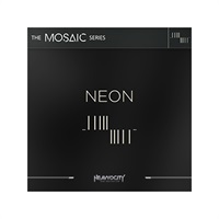 MOSAIC NEON(代引不可)(オンライン納品)