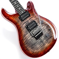 SE Custom 24 Floyd (Charcoal Cherry Burst )