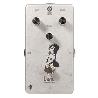 DAVID over distortion