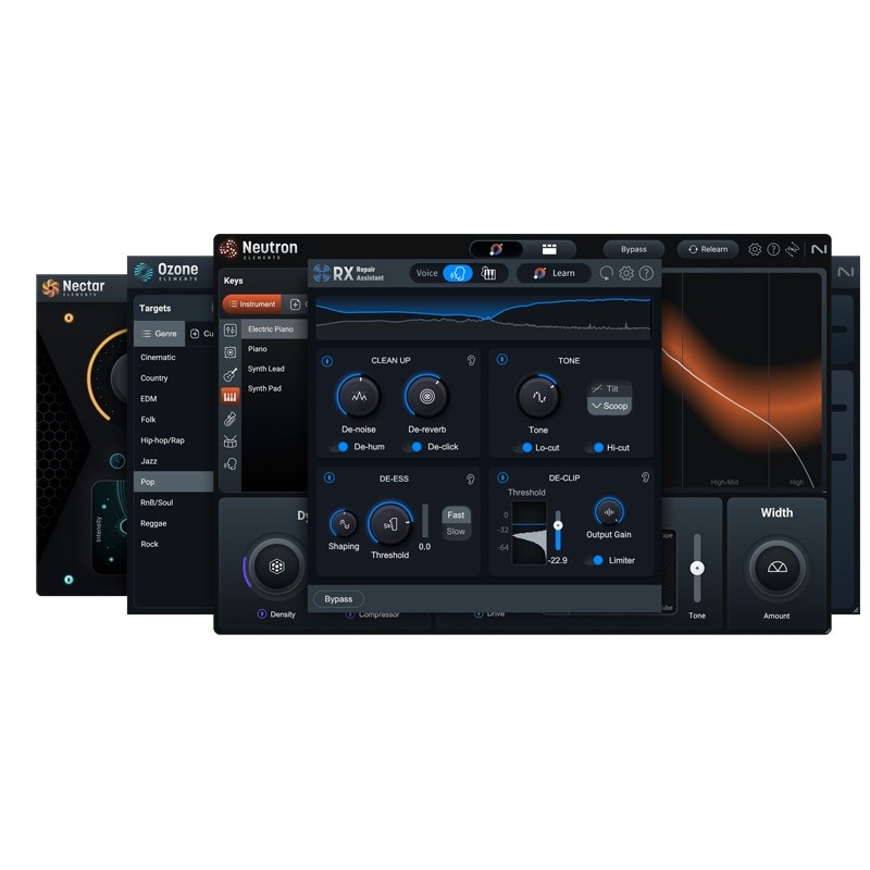 iZotope Elements Suite 10 (アイゾトープ)(エレメンツ)(オンライン納品)(2時間以内に納品)