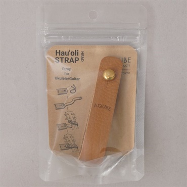 L.R.Baggs HiFi Duet ｜イケベ楽器店オンラインストア