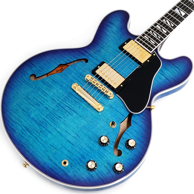 パープル テレキャスタータイプ エレキギター エレキギター 商品一覧