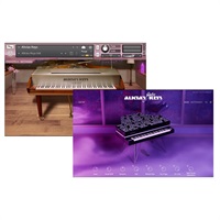 Alicia Keys Bundle (ネイティブインストルメンツ)(アリシアキーズ)(オンライン納品)(2時間以内に納品)