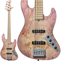 【入荷待ち、ご予約受付中】 Japan Tune-up series WL5-BP-AC/M (SYP-BS-MH) 【ディバイザー・テクニカルセンター完成1周年キャンペーン】