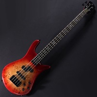 EURO 4 CST (Natural Red Burst Gloss) 【特価】