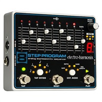 8 Step Program