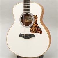 GS Mini-e Special Edition Tarns White テイラー