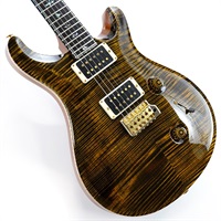 Ikebe Original Wood Library Custom24 McCarty Thickness Tiger Eye #0319732