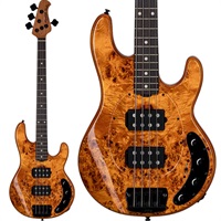 【入荷待ち、ご予約受付中】 Ray34HHPB (Amber)