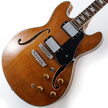 Aria ProII TA-200 MH (Mahogany) ｜イケベ楽器店オンラインストア