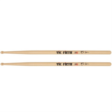 VIC-SSOA [Ash Soan Signature Model]