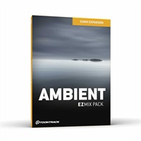 MIX PACK - AMBIENT (トゥーントラック)(EZ MIX 2)(オンライン納品)(2時間以内に納品)