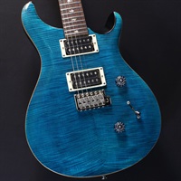 SE Custom 24 (Blue Matteo)