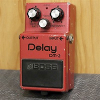 DM-2 Delay early version '81