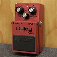 DM-2 Delay early version '81