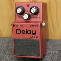 DM-2 Delay late version '82