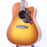 Hummingbird Standard EC HCS ギブソン