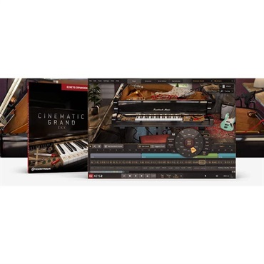 TOONTRACK 【トゥーントラックドラム系スーパーセール！】EKX - CINEMATIC GRAND (トゥーントラック)(EKX拡張ライブラリ)(オンライン納品)(2時間以内に納品)