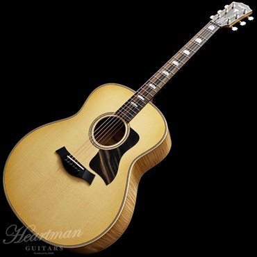 TAYLOR 618e【お取り寄せ】 テイラー