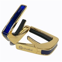 Exotic Shell Series 24K Gold Electric Blue Angel Wing タリア カポ