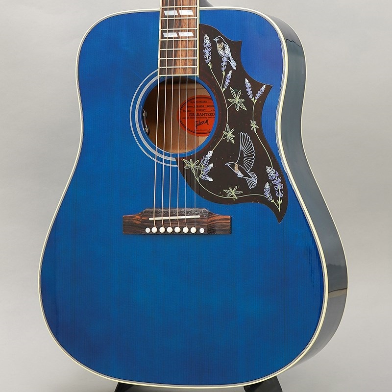 Gibson 【特別値下げ！！】【創業50周年大決算SALE】Miranda Lambert Bluebird (ミランダ・ランバードモデル) ギブソン