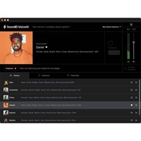 SoundID VoiceAI Large Token Pack (ソナーワークス)(サウンドID)（ボイスエーアイ)(オンライン納品)(代引不可)