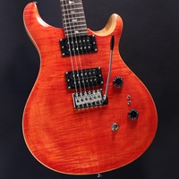 【USED】SE Custom 24-08 (Blood Orange)