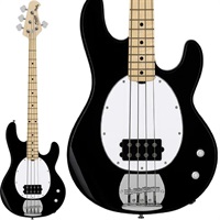 Intro Series Ray2 (Black/Maple) 【特価】