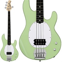 Intro Series Ray2 (Misty Green/Rosewood) 【特価】