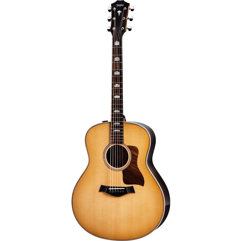 TAYLOR 818e 【お取り寄せ】 テイラー