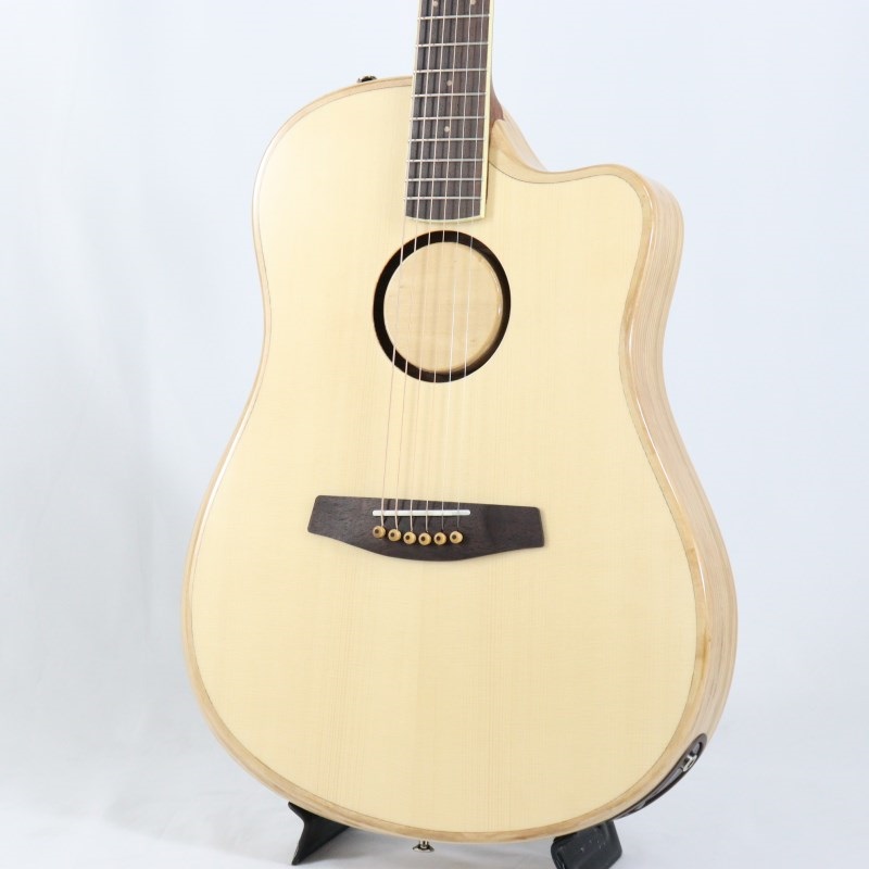L.R.Baggs AEG-1 NAT エルアールバックス